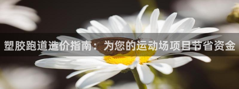 尊龙2021年最新消息：塑胶跑道造价指南：为您的运动场项目节省资金