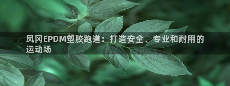 凯时赢来就送38：凤冈EPDM塑胶跑道：打造安全、专业和耐用的
运动场