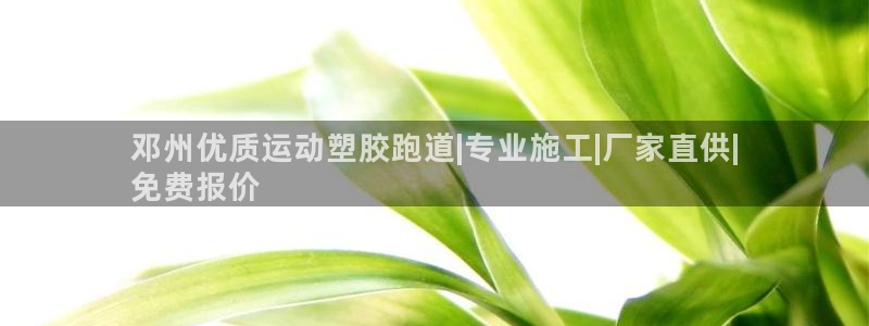 kb88凯时唯一官网注册：邓州优质运动塑胶跑道|专业