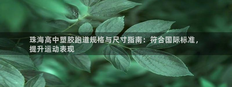 尊龙凯时官网版登录：珠海高中塑胶跑道规格与尺寸指南：