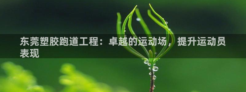 尊龙凯时注册入口：东莞塑胶跑道工程：卓越的运动场，提