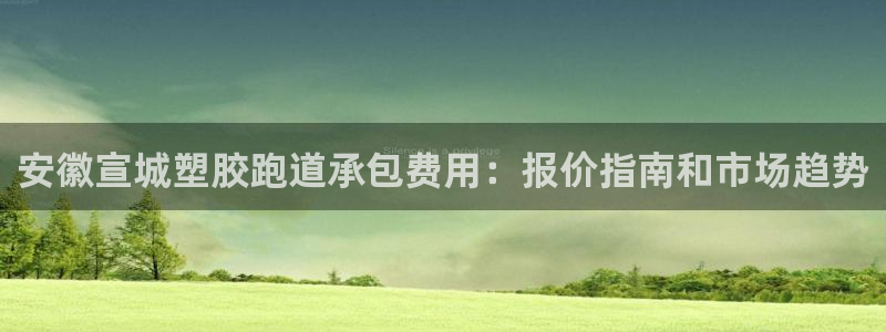 ag尊龙凯时俱乐部：安徽宣城塑胶跑道承包费用：报价指南和市场趋势