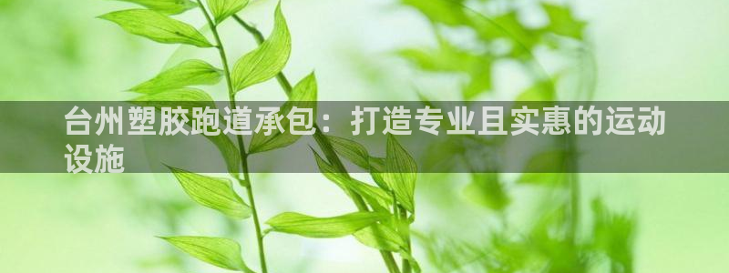 尊龙内地：台州塑胶跑道承包：打造专业且实惠的运动
设施