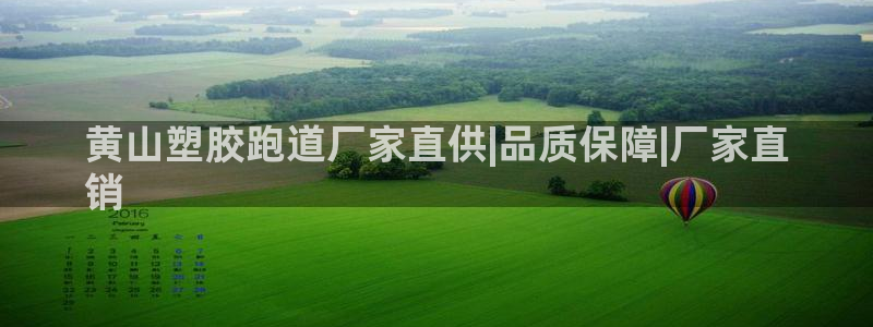 尊龙登录地址：黄山塑胶跑道厂家直供|品质保障|厂家直
销